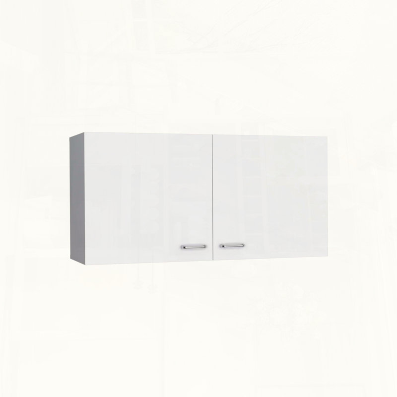 Wall Cabinet, Two Shelves, Double Door