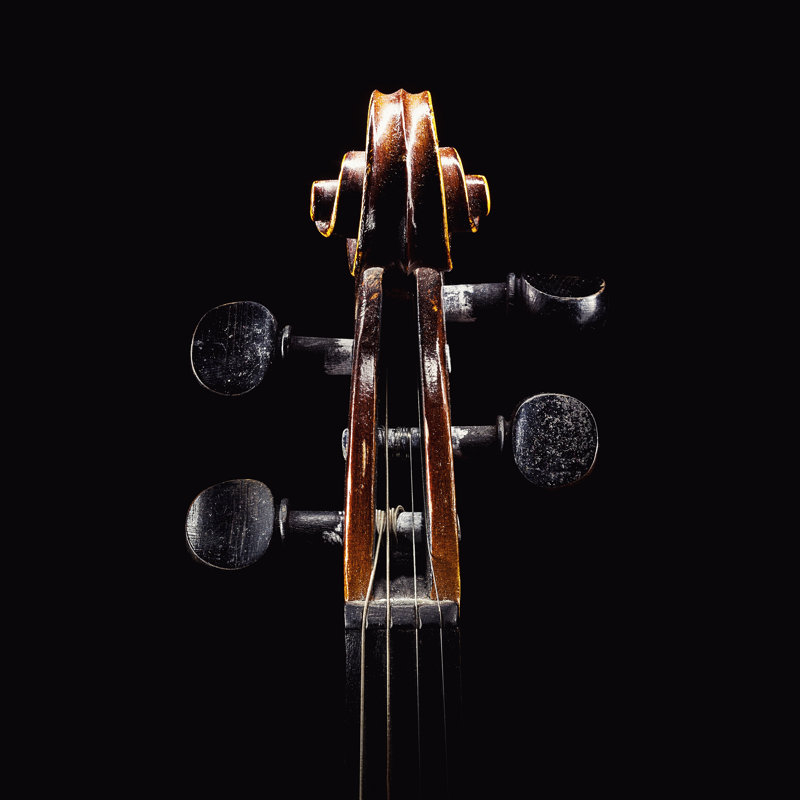 Détails de la tête de violon Mattair par Dejankrsmanovic, H 12 po x l 12 po x P 1,25 po