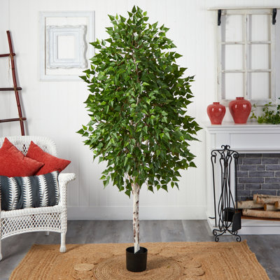72'' Faux Ficus Plant in Ceramic Planter