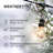 Pro 15-Light 48 ft. Outdoor Plug-In LED 1-Watt S14 2700K Soft White Bulb String Lights