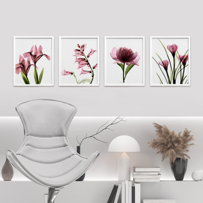 " X-Ray Pink Botanical Floral Flower Detail Close Up " 4 - Pieces