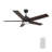 52'' Ceiling Fan with LED Lights-462345898