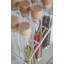 Menahan Freestanding Spice Rack