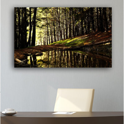 " Into The Forest Nature "