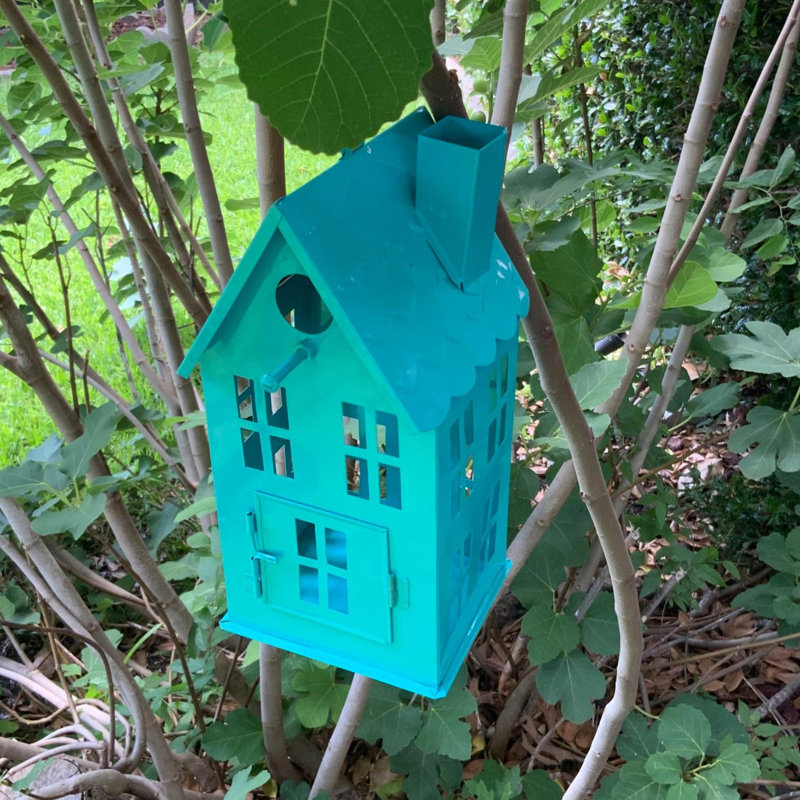 Maison d'oiseaux piscine turquoise