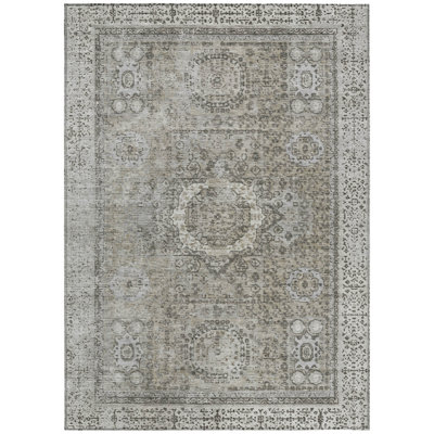 Machine Washable Indoor/Outdoor Xhevrie Pewter Rug