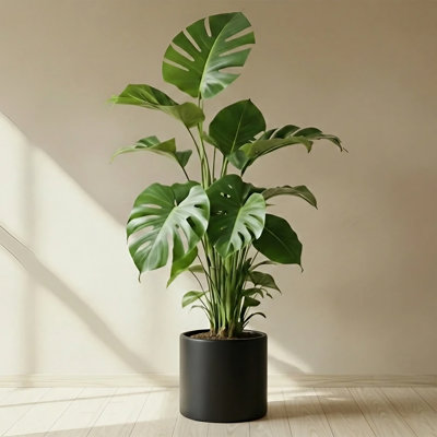 Lumero Fiberstone Cylinder Planter (12.0" Pot Opening x 13.8" D x 13.8" H) Smooth Finishes, Lightweight, Durable, UV Resistant, Modern Minimalist Decor, Indoor Outdoor Plant Pot (L, Black)
