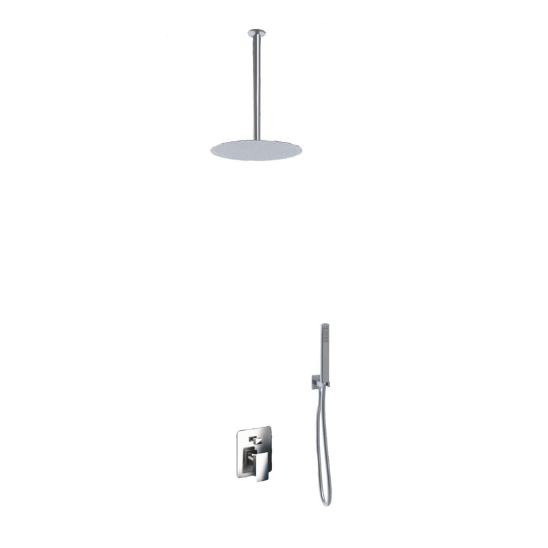 Dual Shower Head