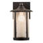 Fulton Prime 1 - Light Outdoor Wall Lantern-323194158-323194155