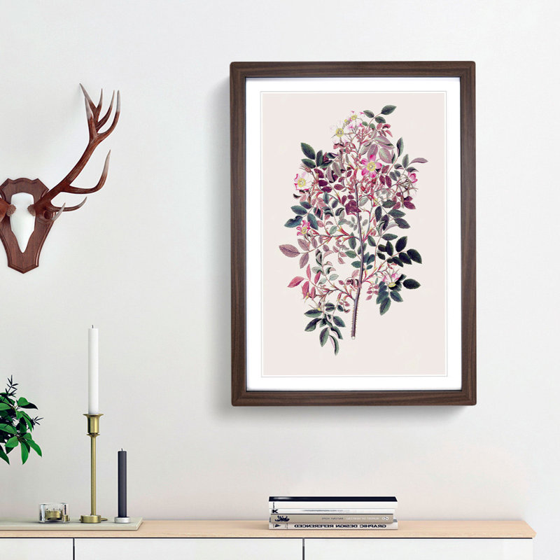 Redleaf Rose Flowers Illustration - Framed Print, Walnut Framed, 65cm H x 48cm W x 2cm D