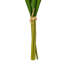 Vickerman 16"H Plum Tulip Bundle of 5.-1404122199