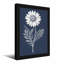 Plantes et fleurs marguerites sur fond-1690156789-1690156788-1690156791