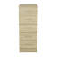 Delonna Narrow Tall Chest of 5 Drawers Bedside Bedroom Hallway Storage Cabinet Furniture-208179828