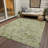 Tapis intérieur / extérieur ACY1006 Aloe-99105669