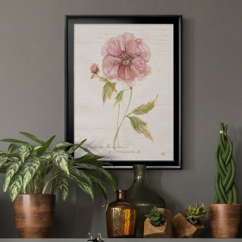 Soft Peony - peinture sur toile encadrée, Noir, H 18,5 po x l 24,5 po x P 1,5 po
