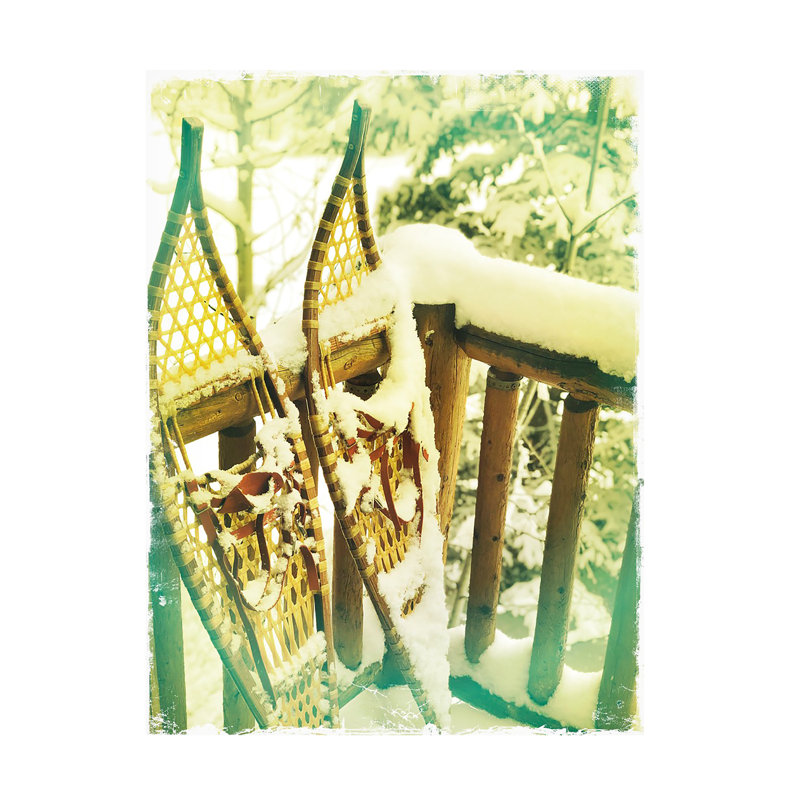 Trademark Fine Art Kent Flora Snowshoes Canvas Art Wayfair