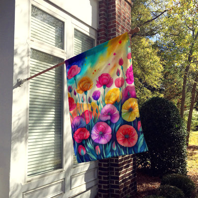 Drapeau de maison en polyester à double face H 40 po x l 28 po