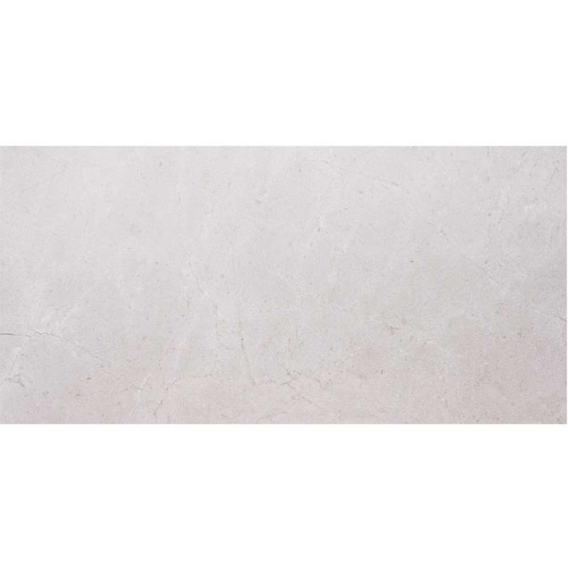 Foro 12" x 24" Matte Porcelain Floor and Wall Tile, Gray