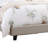 Angeleigh Upholstered Platform Bed-681042361-681042245