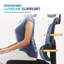Montmiral Mesh Office Chair with Headrest