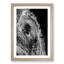 Watchful Elephant - Framed Print-55612203-55612208