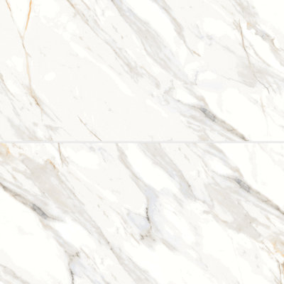 Shandar 24" x 48" Porcelain Marble Look Wall Floor Use Tile in Arezzo Bianco