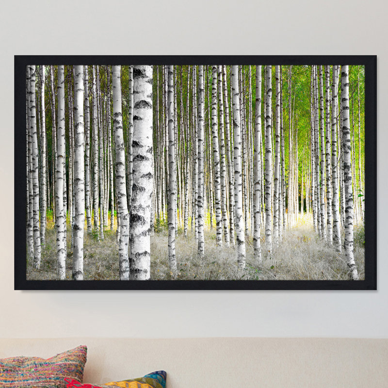 « bouleau trees 1 », reproduction de photo encadrée, H 27,5 po x l 39,5 po x P 0,75 po