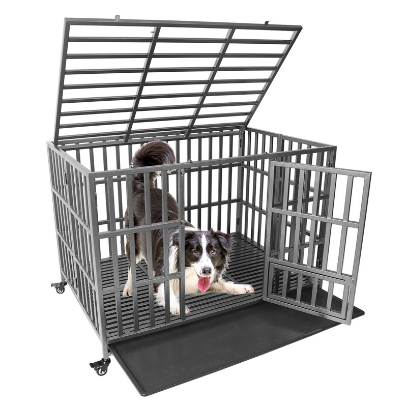 Caisse pour animaux robuste, Moyen (H 35 po x l 30 po x P 47 po)