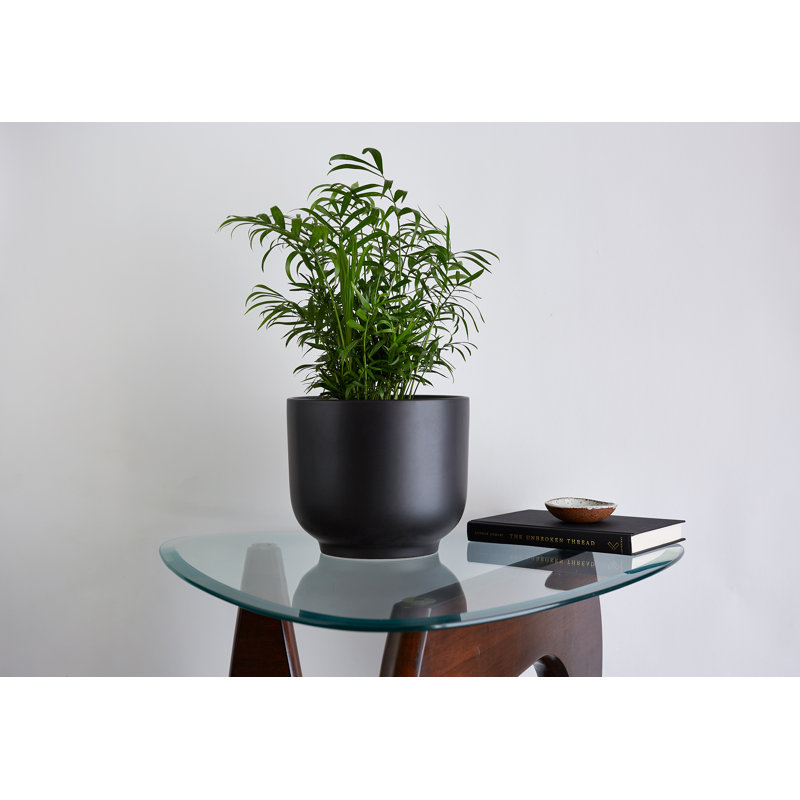 Handmade Ceramic Pot Planter, 7.75" H x 9" W x 9" D, Black