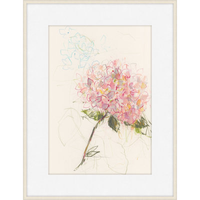 Hydrangeas 1 Print by Claudia Lowry