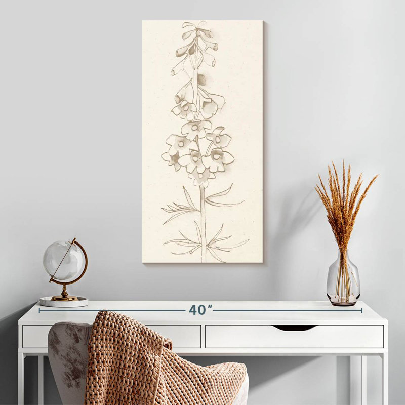 Delphinium I, H 30 po x l 15 po