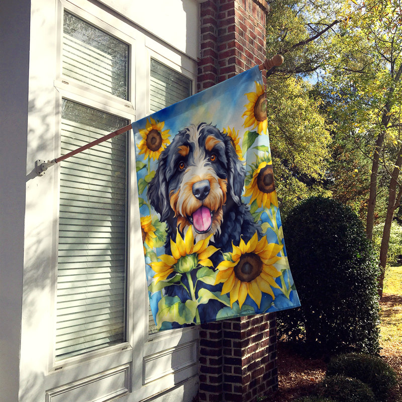 Drapeau de la maison du tournesol Malamute d'Alaska, Bernedoodle