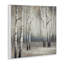 Misty Birch Tree Forest Mute Landscape - impression-105255746-105255747