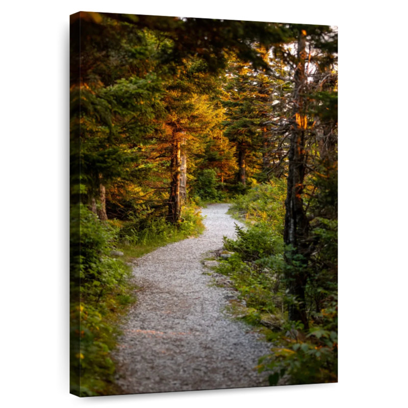 Chemin boisé Alvord, H 12 po x l 8 po