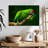 Military Macaw-107922825