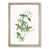 Oak Framed selected