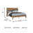 Gulnaaz Queen Panel Bed-123191433
