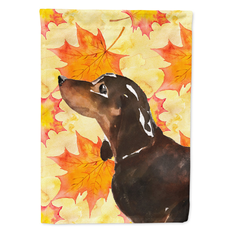 Automne 2 côtés en polyester 15 x 11 po drapeau de jardin, Teckel noir / brun clair