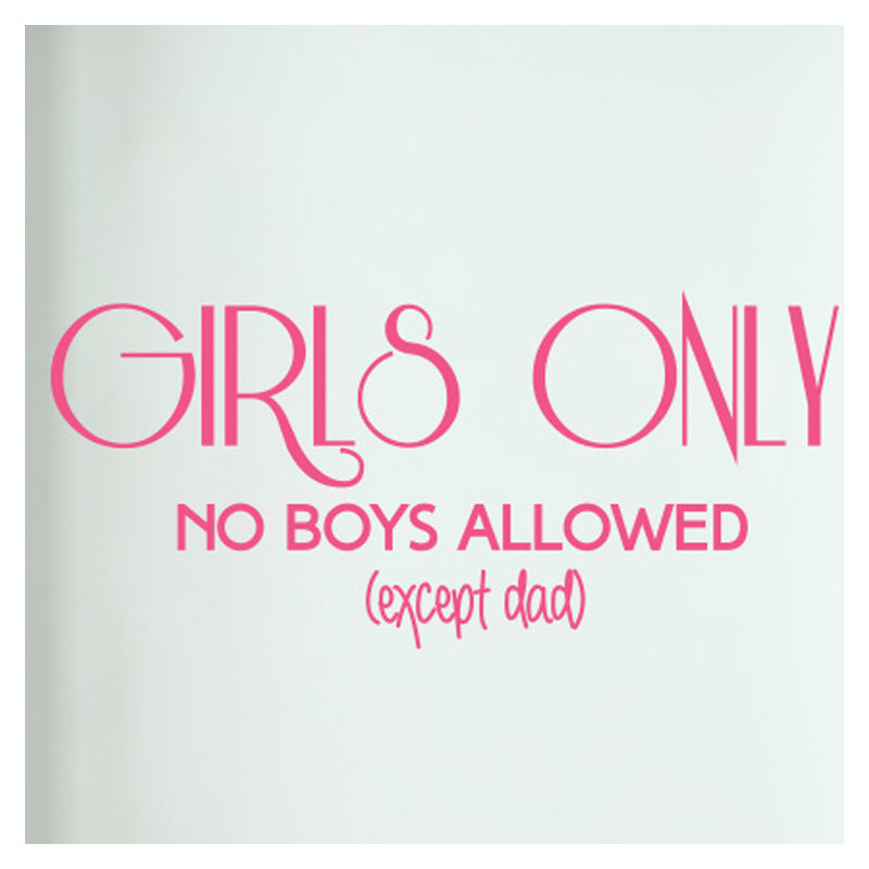 Non-Wall Damaging Wall Decal, Pink