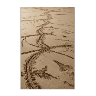 Machine Washable Nature Beige Area Rug