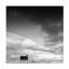 " Hope In The Wilderness " by Robert Bolton-724042285