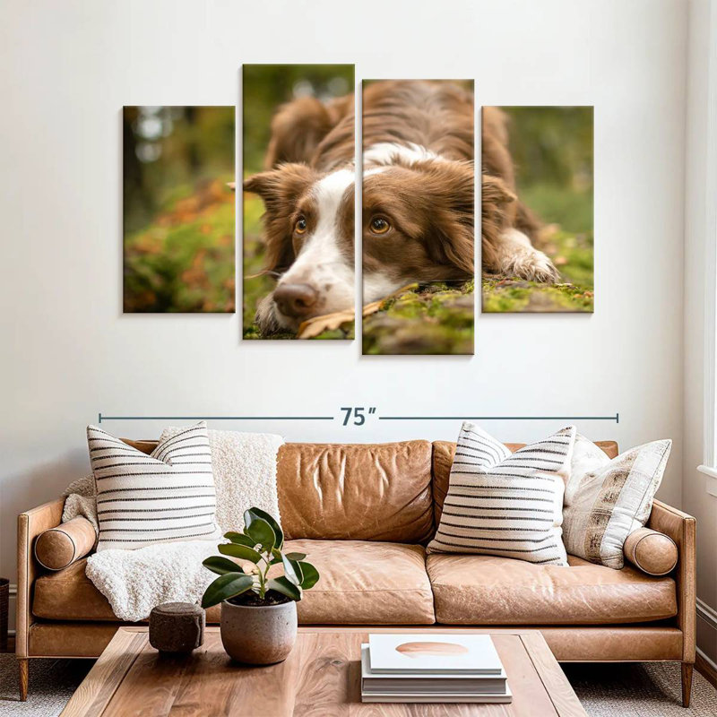 Brampt Lovable Border Collie, 42" H x 68" W