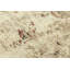 Tapis en laine beige / brun-156951453