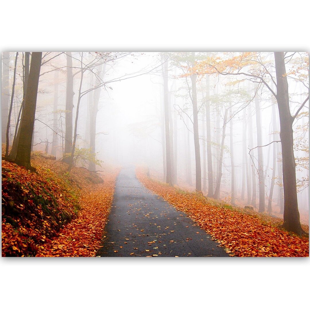 Leinwandbild Die Straße im nebligen Wald