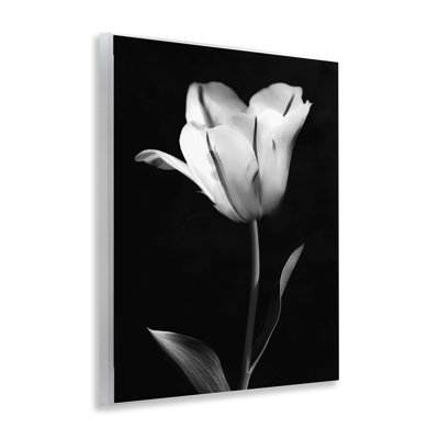 Plaque murale moderne moderne Tulip Stark Contrast, design par CAD Designs
