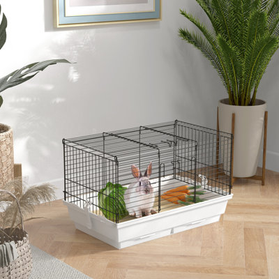 Zahir petit animal
