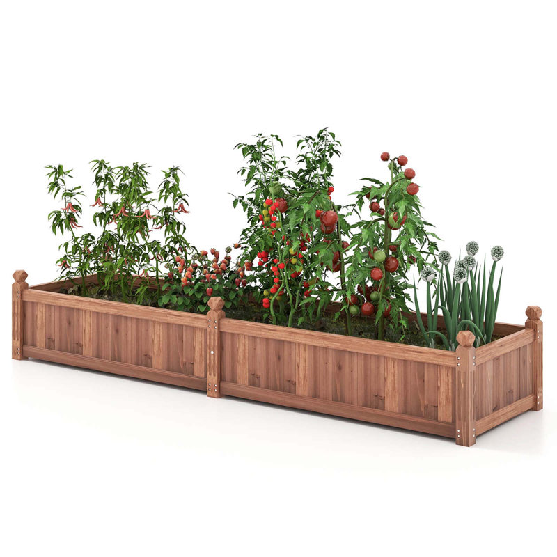 Arlmont & Co. Wooden Raised Garden Bed Outdoor Rectangular Planter Box With Drainage Holes