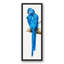 « blue perroquet », reproduction d’impression sur toile encadrée