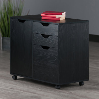 Crandon 2 -Drawer Filing Storage Cabinet by Inbox Zero
