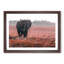Marching Elephant in Abstract - Framed Print-55575749-55575754